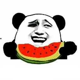 娱乐吃瓜酱谈个恋爱能有多敷衍,谈个恋爱能有多敷衍？