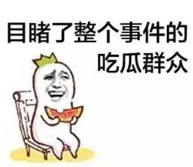 娱乐吃瓜菌体育,揭秘网红圈层与体育界的热辣八卦