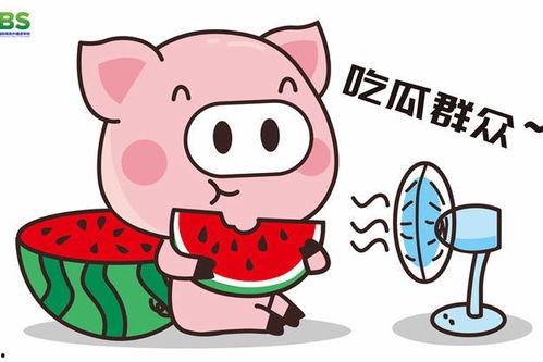 娱乐吃瓜酱的素材