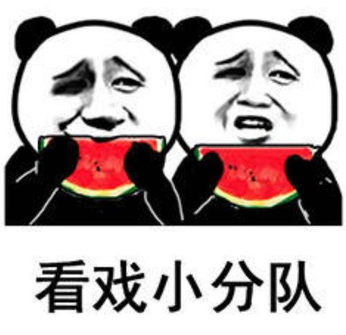 吃瓜娱乐小狗表情包,网络潮流中的萌宠风采