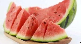 娱乐吃瓜酱青口冻干