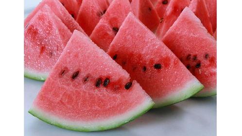 娱乐吃瓜酱青口冻干