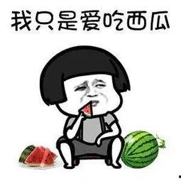 娱乐吃瓜酱蠢人,蠢人生涯的趣味解读