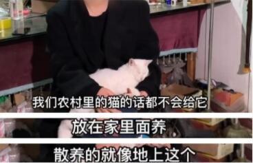 娱乐吃瓜君澄清视频,揭秘真相，还原事件全貌